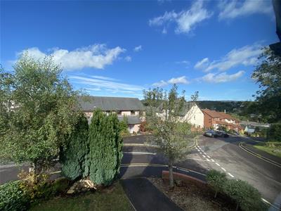 Picture 21